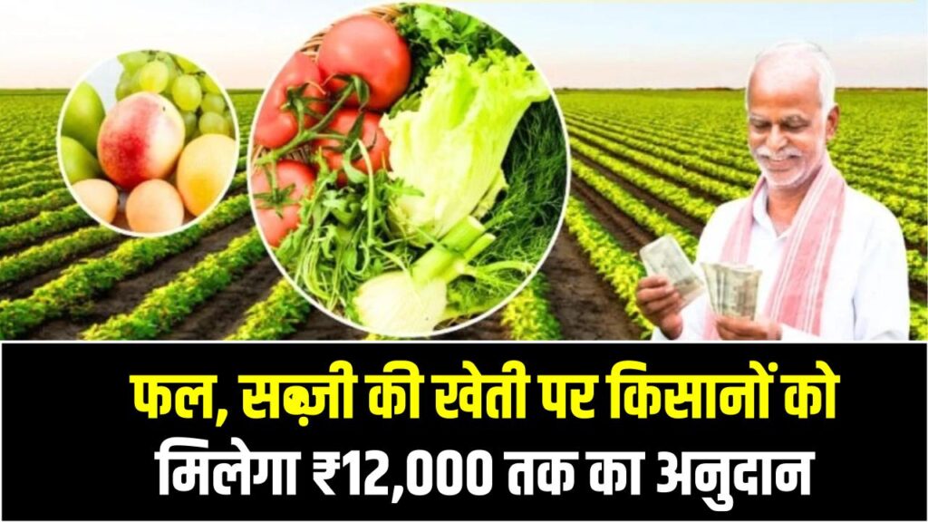 Kisan Yojana 2025: किसानों को मिल रहा है बड़ा फायदा! फल–सब्ज़ी की खेती पर ₹12,000 तक का अनुदान, ऐसे करें आवेदन 1 Kisan Yojana 2025: किसानों को मिल रहा है बड़ा फायदा! फल–सब्ज़ी की खेती पर ₹12,000 तक का अनुदान, ऐसे करें आवेदन