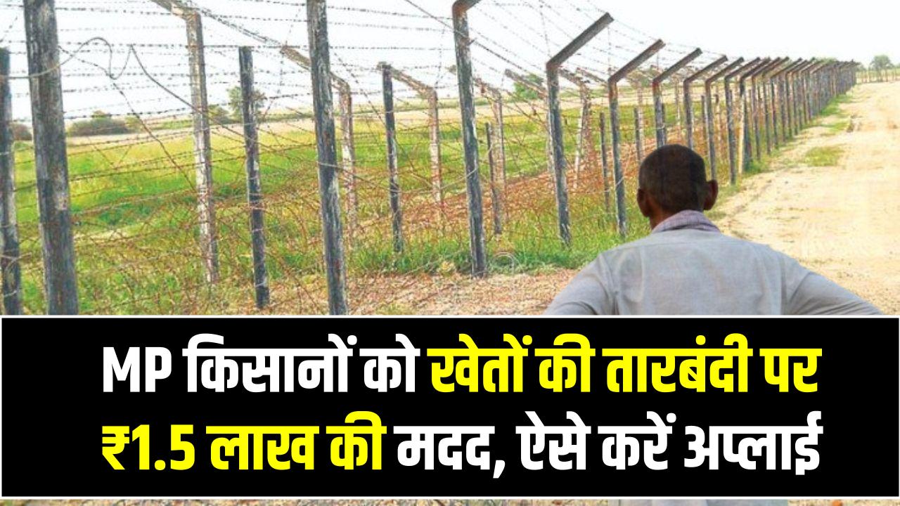 MP किसानों को खेतों की तारबंदी पर ₹1.5 लाख की मदद, ऐसे करें अप्लाई